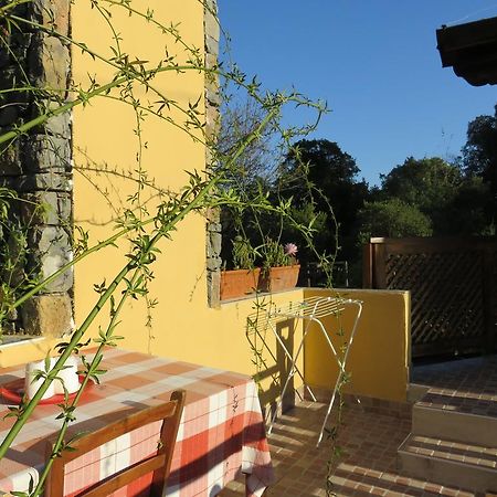 Agriturismo "La Rosa Canina" Lerici Exterior foto