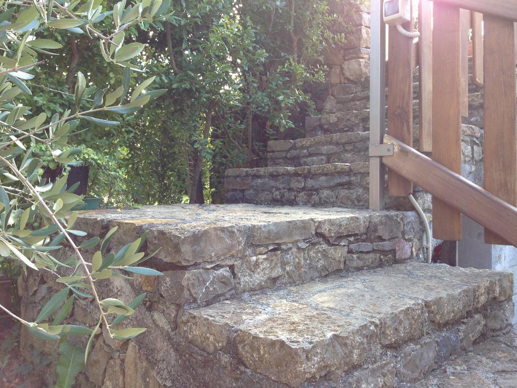 Agriturismo "La Rosa Canina" Lerici Exterior foto