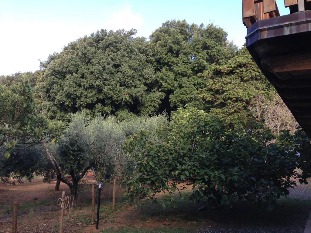 Agriturismo "La Rosa Canina" Lerici Exterior foto