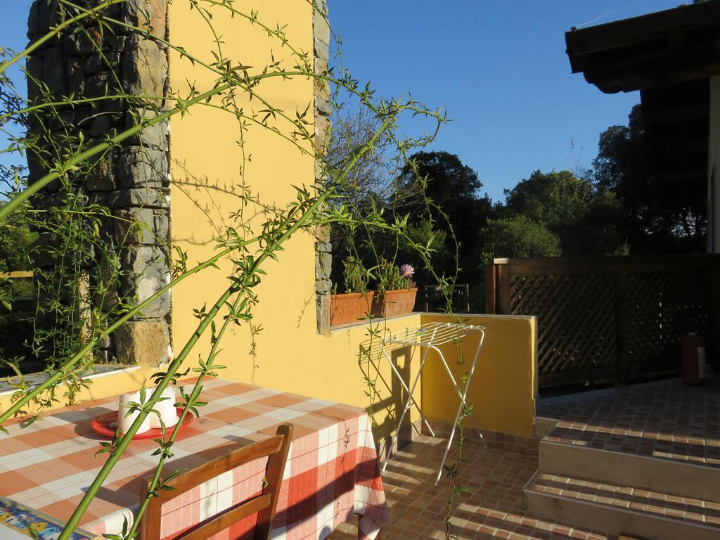 Agriturismo "La Rosa Canina" Lerici Exterior foto